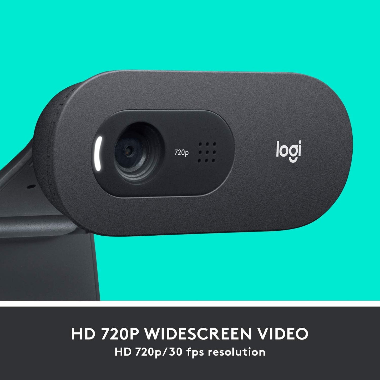 Logitech C505 Webcam 1280 x 720 Pixels USB Black